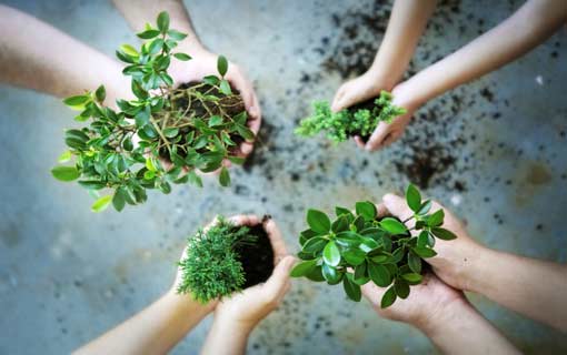 القيادة القرآنية